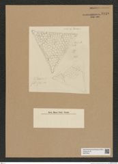 Diatomeae indet. Zeichnungen Sammlung Grunow Nr. 6948 (NHMW-BOT-W0375841)